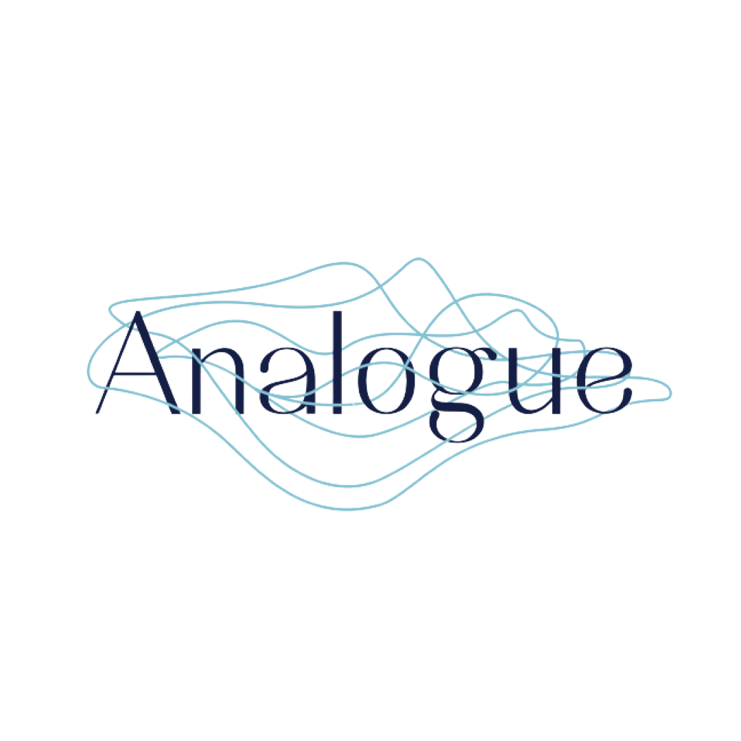 Analogue Initiative