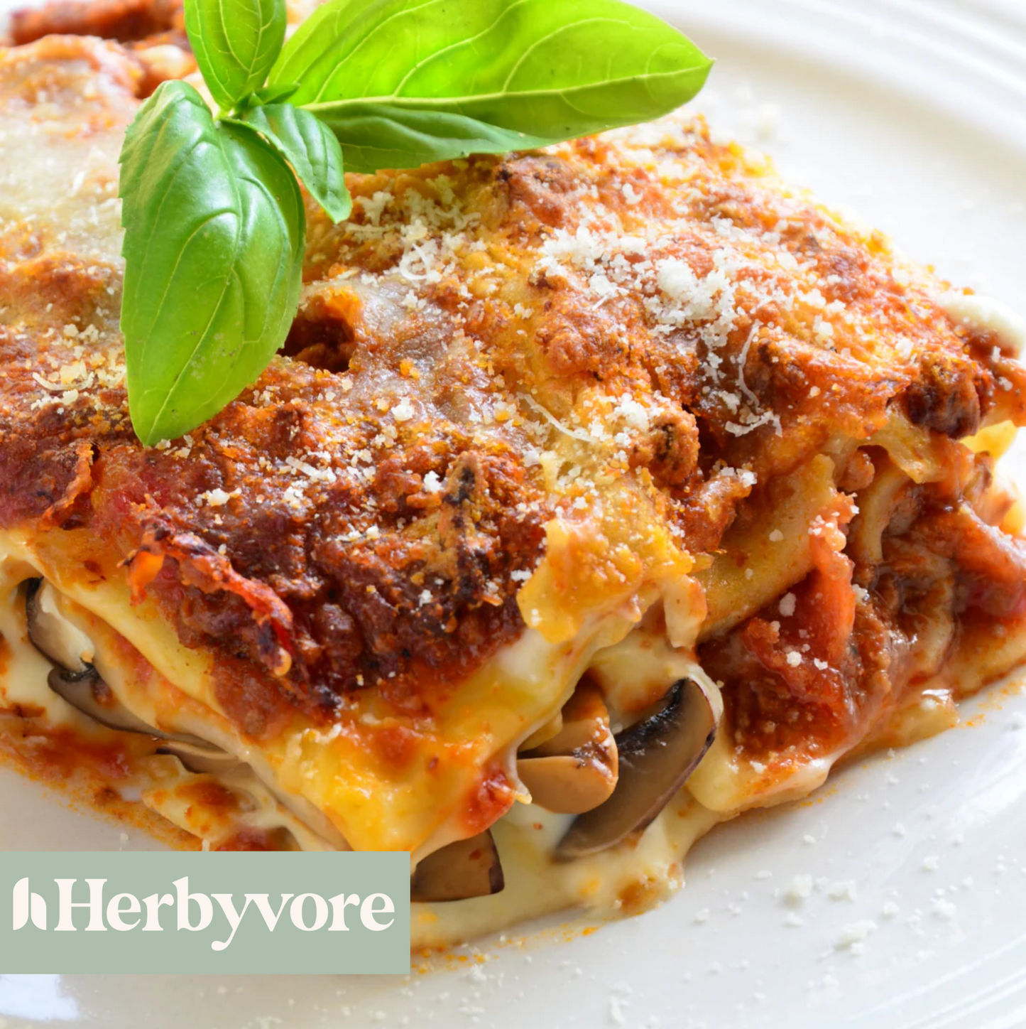 VEGAN LASAGNE RECIPE